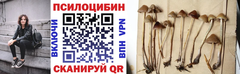 Галлюциногенные грибы Cubensis Озёры